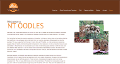 Desktop Screenshot of ntoodles.com