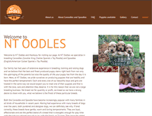 Tablet Screenshot of ntoodles.com